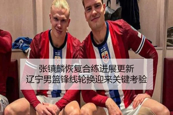 张镇麟恢复合练进展更新 辽宁男篮锋线轮换迎来关键考验